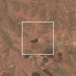 Monthly Sentinel-2 true-colour time-lapse of Akola locality cell 4670000036 and its surroundings