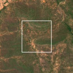 Monthly Sentinel-2 true-colour time-lapse of Gadchiroli locality cell 4750000708 and its surroundings