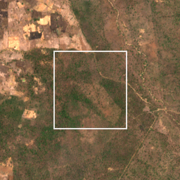 Monthly Sentinel-2 true-colour time-lapse of Gadchiroli locality cell 4750004607 and its surroundings