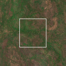 Monthly Sentinel-2 true-colour time-lapse of Gadchiroli locality cell 4750005708 and its surroundings
