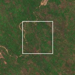 Monthly Sentinel-2 true-colour time-lapse of Gadchiroli locality cell 4750007708 and its surroundings