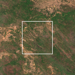 Monthly Sentinel-2 true-colour time-lapse of Gadchiroli locality cell 4750010607 and its surroundings