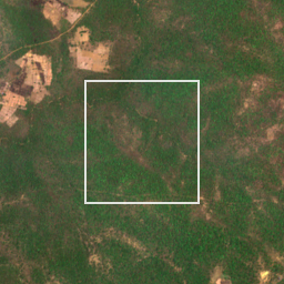 Monthly Sentinel-2 true-colour time-lapse of Gadchiroli locality cell 4750011708 and its surroundings