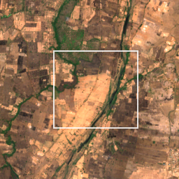 Monthly Sentinel-2 true-colour time-lapse of Gondia locality cell 4760000024 and its surroundings