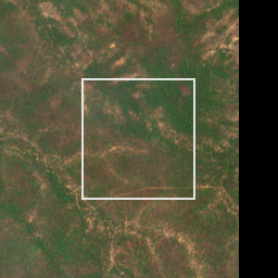 Monthly Sentinel-2 true-colour time-lapse of Gondia locality cell 4760000051 and its surroundings