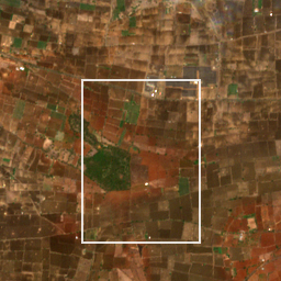 Monthly Sentinel-2 true-colour time-lapse of Latur locality cell 4810000049 and its surroundings