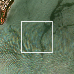 Monthly Sentinel-2 true-colour time-lapse of Mumbai locality cell 4820000011 and its surroundings