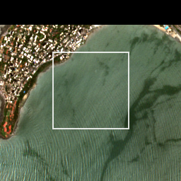 Monthly Sentinel-2 true-colour time-lapse of Mumbai locality cell 4820000016 and its surroundings