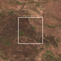 Monthly Sentinel-2 true-colour time-lapse of Nagpur locality cell 4840000020 and its surroundings