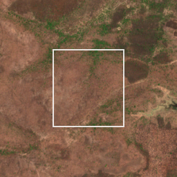 Monthly Sentinel-2 true-colour time-lapse of Nagpur locality cell 4840000036 and its surroundings