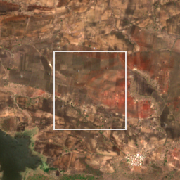 Monthly Sentinel-2 true-colour time-lapse of Nagpur locality cell 4840000059 and its surroundings