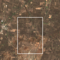 Monthly Sentinel-2 true-colour time-lapse of Nanded locality cell 4850000041 and its surroundings