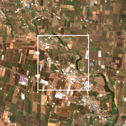 Monthly Sentinel-2 true-colour time-lapse of Nashik locality cell 4870005708 and its surroundings