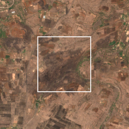 Monthly Sentinel-2 true-colour time-lapse of Parbhani locality cell 4890000042 and its surroundings