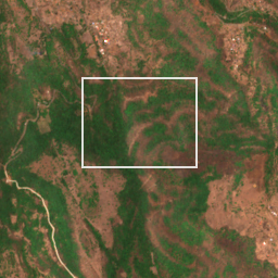 Monthly Sentinel-2 true-colour time-lapse of Raigad locality cell 4910000020 and its surroundings