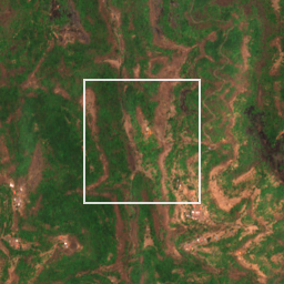 Monthly Sentinel-2 true-colour time-lapse of Raigad locality cell 4910000025 and its surroundings