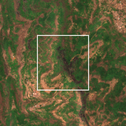 Monthly Sentinel-2 true-colour time-lapse of Raigad locality cell 4910000026 and its surroundings