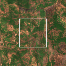 Monthly Sentinel-2 true-colour time-lapse of Raigad locality cell 4910000029 and its surroundings