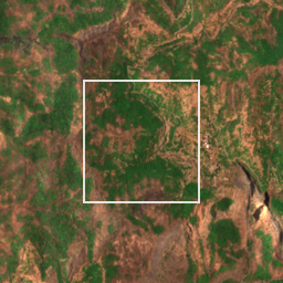 Monthly Sentinel-2 true-colour time-lapse of Raigad locality cell 4910000030 and its surroundings