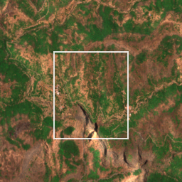 Monthly Sentinel-2 true-colour time-lapse of Raigad locality cell 4910000031 and its surroundings