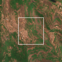 Monthly Sentinel-2 true-colour time-lapse of Raigad locality cell 4910000036 and its surroundings