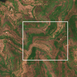 Monthly Sentinel-2 true-colour time-lapse of Raigad locality cell 4910000038 and its surroundings