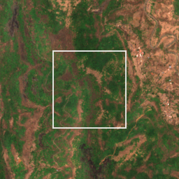 Monthly Sentinel-2 true-colour time-lapse of Raigad locality cell 4910000043 and its surroundings