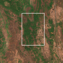 Monthly Sentinel-2 true-colour time-lapse of Raigad locality cell 4910000049 and its surroundings