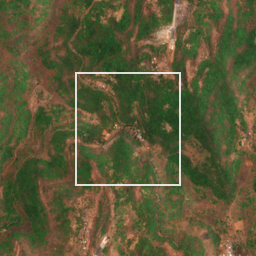 Monthly Sentinel-2 true-colour time-lapse of Raigad locality cell 4910000055 and its surroundings