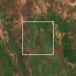 Monthly Sentinel-2 true-colour time-lapse of Raigad locality cell 4910000059 and its surroundings