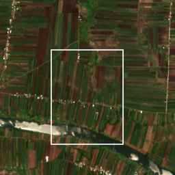 Monthly Sentinel-2 true-colour time-lapse of Sangli locality cell 4930000021 and its surroundings