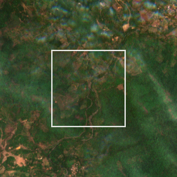Monthly Sentinel-2 true-colour time-lapse of Sindhudurg locality cell 4950000024 and its surroundings