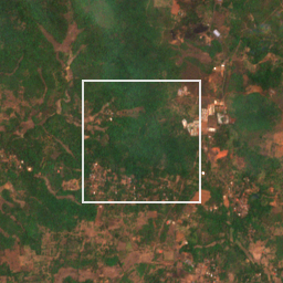 Monthly Sentinel-2 true-colour time-lapse of Sindhudurg locality cell 4950000029 and its surroundings