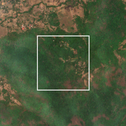 Monthly Sentinel-2 true-colour time-lapse of Sindhudurg locality cell 4950001310 and its surroundings