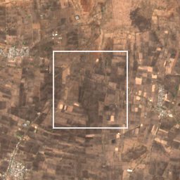 Monthly Sentinel-2 true-colour time-lapse of Washim locality cell 4990000042 and its surroundings