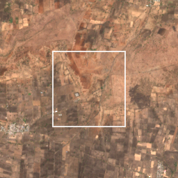 Monthly Sentinel-2 true-colour time-lapse of Washim locality cell 4990000059 and its surroundings