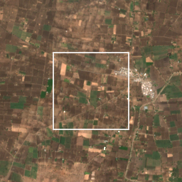 Monthly Sentinel-2 true-colour time-lapse of Yavatmal locality cell 5000000247 and its surroundings