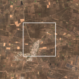 Monthly Sentinel-2 true-colour time-lapse of Yavatmal locality cell 5000000310 and its surroundings