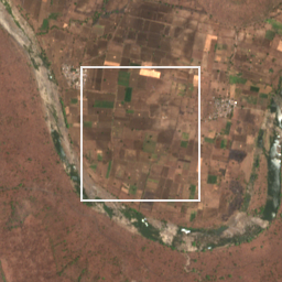 Monthly Sentinel-2 true-colour time-lapse of Yavatmal locality cell 5000000821 and its surroundings