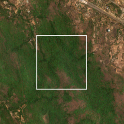 Monthly Sentinel-2 true-colour time-lapse of Palghar locality cell 6650000025 and its surroundings