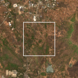 Monthly Sentinel-2 true-colour time-lapse of Palghar locality cell 6650000708 and its surroundings